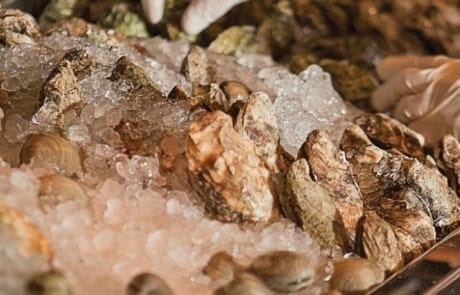 MG_6336-small-683×1024